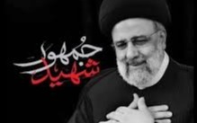 فیلم/ دلم‌ برای رئیسی سوخت