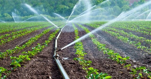 سرمایه گذاری ۸ میلیاردی برای اجرای سیستم آبیاری نوین در خوسف