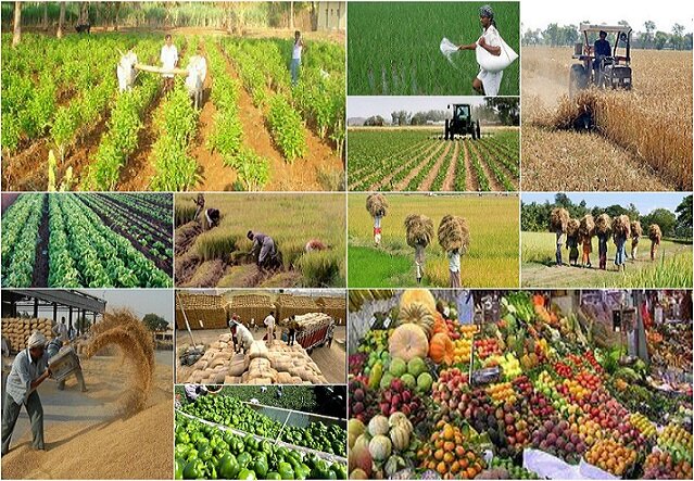 هشتمین نمایشگاه تخصصی کشاورزی شرق کشور خراسان جنوبی _ بیرجند